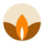 Plant Based Candles
